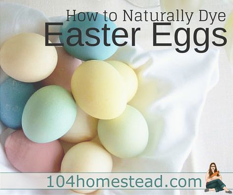 A rainbow of eggs using natural dyes. How To Color Eggs, How To Dye Eggs, Natural Easter Eggs, Dye Eggs, Dye Easter Eggs, Naturally Dyed Easter Eggs, Egg Dye, Easter Egg Dye, Homemade Butter