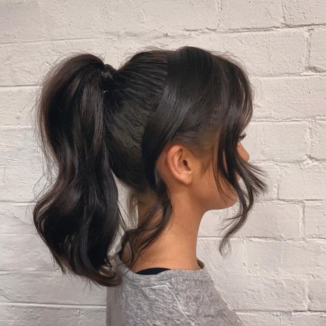 Chloe Morello on Instagram: “My hair last night for the #FENTY party was so cute, I loved it! Hair by @richi_grisillo at @academie_salon ❤️” Dark Hair Medium Length, Hairstyles Dark Hair, Prom Hairstyles For Medium Hair, Tail Hairstyles, Tail Hairstyle, Prom Hair Medium, Pony Hairstyles, High Ponytail Hairstyles, Wavy Ponytail