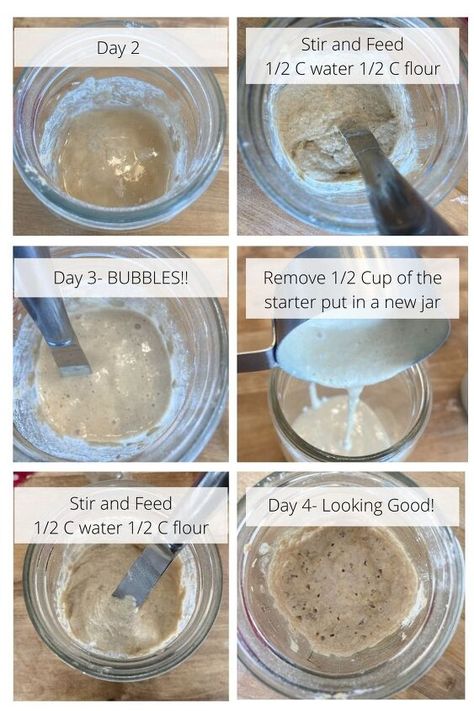 Sourdough Starter And Bread Recipe, Flour For Sourdough Starter, How To Start Making Sourdough, Sourdough Starter Too Watery, Sourdough Starter Flour, How To Start A Sourdough Starter, Easy Sourdough Starter, Best Sourdough Starter Recipe, Dough Starter Recipe