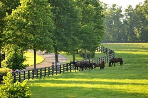 Driveway Entrance, Driveway Landscaping, Future Farms, The Enchanted Home, Enchanted Home, Horse Farm, Horse Property, Horse Stables, Horse Barns