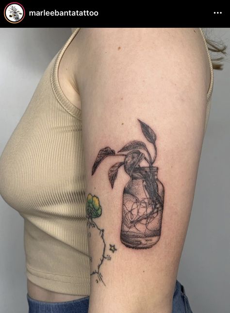 stick n poke tattoo by @marleebantatattoo on insta Propagating Pothos, American Traditional Tattoo Ideas, Traditional Tattoo Ideas, Arm Tats, Bottle Tattoo, Stick N Poke, Stick N Poke Tattoo, Plant Tattoo, American Tattoos