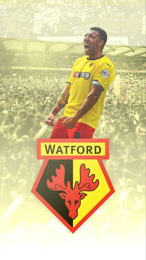 Watford wallpaper. Watford Wallpaper, Sport Outfits School, Wallpaper Soccer, Body Squats, Watford Fc, Squat Challenge, Sport Video, Sports Graphics, Workout Chart