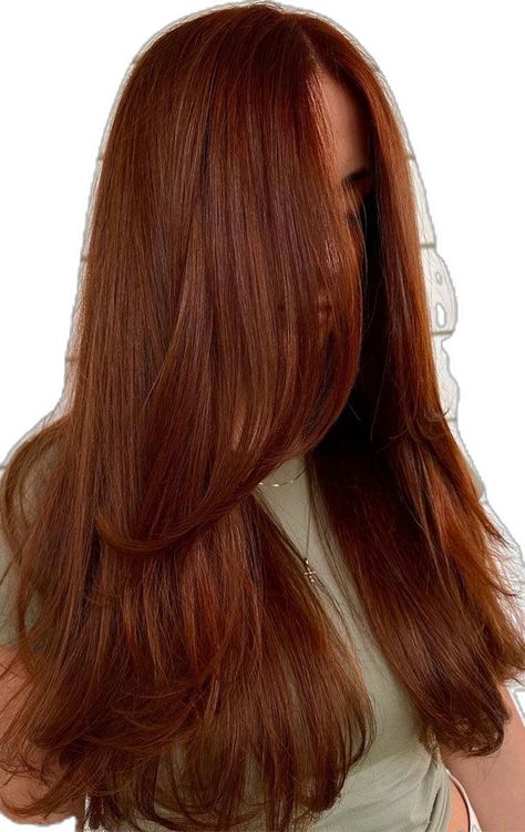 Layers And Long Bangs, Deep Copper Hair, Copper Hair Long, Copper Hair Colour, Copper Hair Ideas, Cowboy Copper Hair, Hair Colour Trends, Vibrant Hair Color, Cowboy Copper