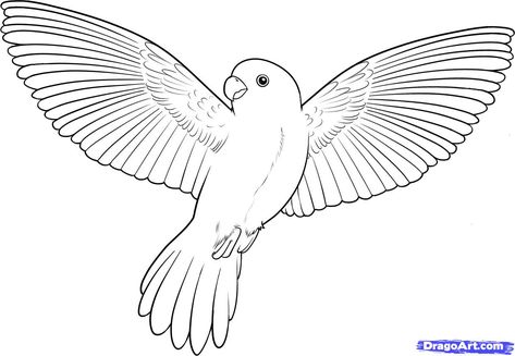 Bird Coloring Pages | How to Draw a Flying Bird, How to Draw a Bird Flying Bird Illustration Drawing, Bird Open Wings, Bird Flying Drawing, Flying Bird Drawing, Campaign Illustration, Bird Shapes, Simple Bird Drawing, Draw Bird, Library Clipart