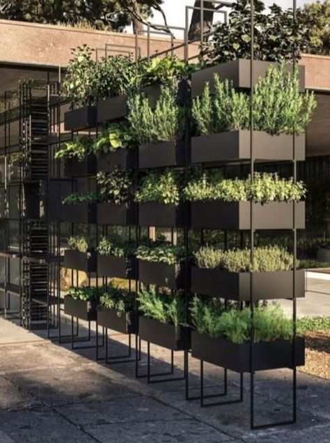 Terrace Vertical Garden, Plant Shelf Wall, Biophilic Office, Beer Garden Design, Courtyard Wall, Backyard Resort, Terraced Landscaping, Vertical Garden Design, Diy Garden Fountains