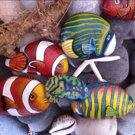 Painted rocks - fish Fish Rocks, Painted Fish, Painted Rock Animals, Painted Pebbles, Painted Rocks Kids, Dekor Diy, Painted Rocks Craft, Painted Rock Ideas, Painted Rocks Diy