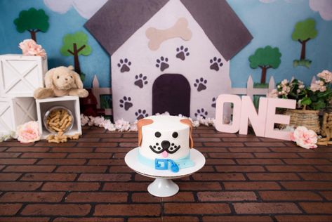 Puppy 1st Birthday Pictures, Dog Cake Smash, Puppy Smash Cake, Dog Theme Smash Cake, Dog Smash Cake, Puppy Theme Smash Cake, Dog Birthday Backdrop, Dog Cake Smash Pet Photography, Puppy Dog Cakes