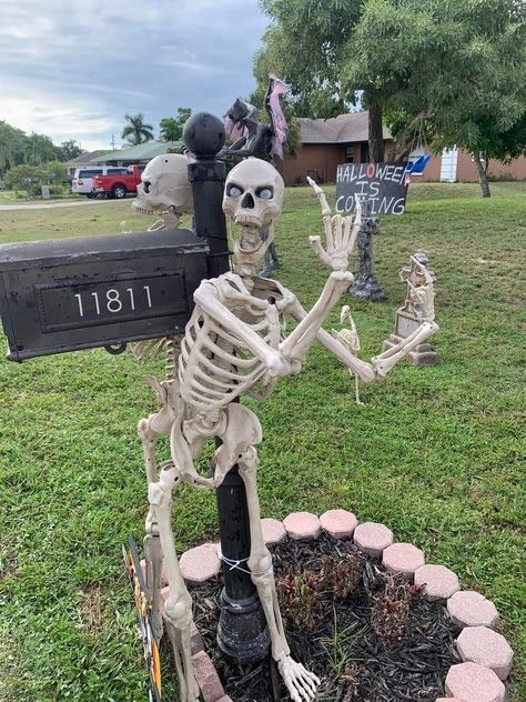 Skeleton Wearing Clothes, Poseable Skeleton Ideas Funny, Funny Ways To Pose Skeletons, Funny Dressed Up Skeletons, Funny Skeleton Setups, Silly Skeleton, Skeleton Memes Hilarious, Halloween Outside, Funny Skeleton