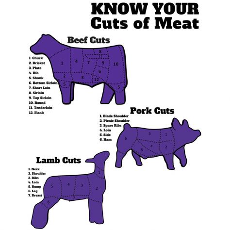 Livestock quotes, FFA, 4-H, Show pigs, Show lambs, Show goats, Show steers, stockshowlife 4h Livestock Judging, Meat Judging Ffa, Steer Showing Tips, Show Goats Boer, Livestock Quotes Pigs, Showing Goats In 4h, Showing Pigs 4-h, Livestock Judging Tips, 4h Motto