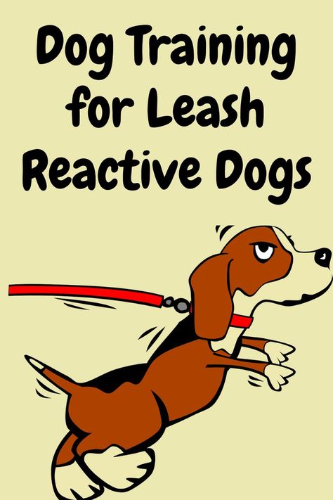 Professional Dog Trainer and Behavioral Specialist, Doggy Dan (owner of the dog training website, TheOnlineDogTrainer.com) has developed a dog training program called, The Dog Calming Code, that’s particularly effective for leash reactivity and leash aggression.  It’s easy to follow and inexpensive.  You don't have to be nervous about walking your dog anymore!

Dog Leash Reactivity | Leash Reactive Dog Training | How to Train a Leash Reactive Dog | Dog Leash Aggression | Leash Aggressive Dog Dog Reactivity Training, Leash Training A Dog, Dog Training Aesthetic, Reactive Dog Training, Behavioral Specialist, Reactive Dog, Dog Behavior Problems, Leash Training, Dog Brain