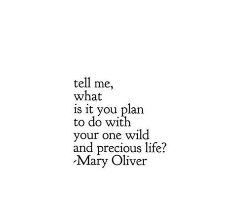 Wild And Precious Life, Kylie Francis, Organized Life, Word Pictures, Poetry Quotes, Pretty Words, Thoughts Quotes, Great Quotes, Inspirational Words