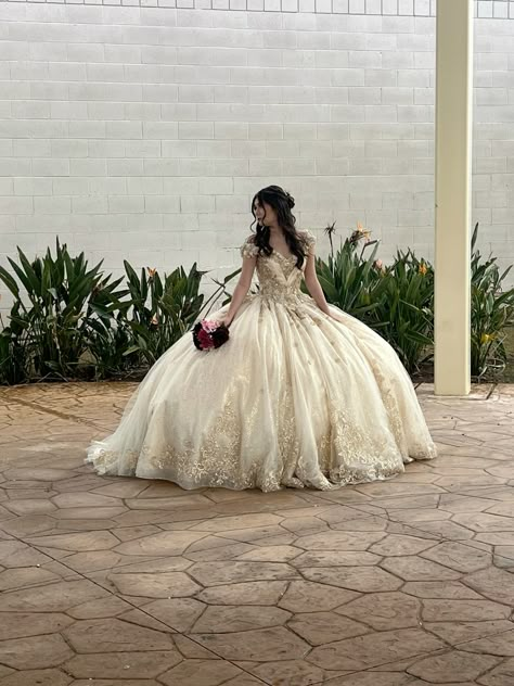 Quinceanera Dresses Beige, Beige Quince Dress, Beige Quinceanera Dresses, White And Gold Quinceanera Dresses, Beige Quince, Quince Champagne, Champagne Quinceanera Theme, Quinceañera Themes, Champagne Quince Dresses