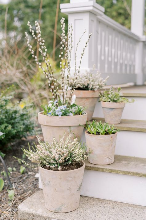 DIY Aged Terracotta Pots - Finding Lovely Terracotta Pots Decor Living Rooms, Terracotta Pots Front Porch, Pot Placement On Patio, Outdoor Terracotta Pots, Paint Terracotta Pots Diy, Terracotta Pots Garden, Terracotta Diy, Teracotta Pots, Finding Lovely