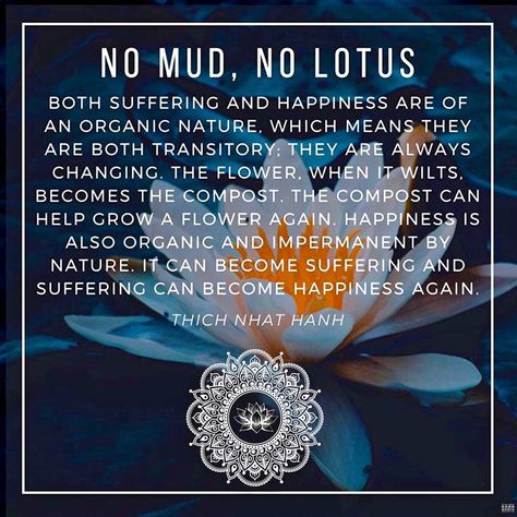 Thich Nhat Hanh Quote Collectiveॐ Lotus Quotes, Lotus Quote, No Mud No Lotus, Thich Nhat Hanh Quotes, Goddess Quotes, Soul Purpose, Zen Master, Thich Nhat Hanh, Writing Poems