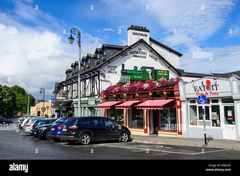 Blarney Castle, Blarney Stone, Cork City, Love Ireland, The Visitors, Wonderful Things, Cork, Things To Do, Castle