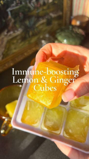 Camille Aubert | private Chef on Instagram: "These immunity boosting cubes are perfect to prepare and have on hand for a healthy morning boost. 🌞🍋✨ Lemon juice provides powerful digestive enzymes while ginger stimulates digestion. Consuming both on an empty stomach with warm water helps detoxify the body by eliminating all the toxins from the body. Plus its delicious and warming! If you find fresh turmeric then use that instead of ground turmeric. I do either way but fresh is best! Ingredients (makes 12 large cubes): - Juice of 4 lemons - 480 ml water - 1 tbsp fresh ginger, grated  - ½ tsp ground cinnamon - 1 tsp ground turmeric (or fresh) - 1.5 tbsp good quality honey  ✨ Method: Blend, pour in ice cubes and freeze! To serve, add one cube in a mug and pour over hot water. Enjoy. #immu Immune Boosting Ice Cubes, Ginger Cubes, Honey Cinnamon Water, Blend Jet, Turmeric Vitamins, Ginger Shot, Fresh Turmeric, Home Remedy For Cough, Liver Detoxification