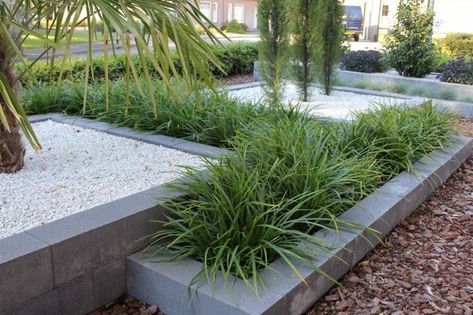 Contemporary Garden Design, Drought Tolerant Garden, Modern Garden Design, Garden Architecture, Contemporary Garden, Roof Garden, Modern Landscaping, Back Garden, Small Gardens