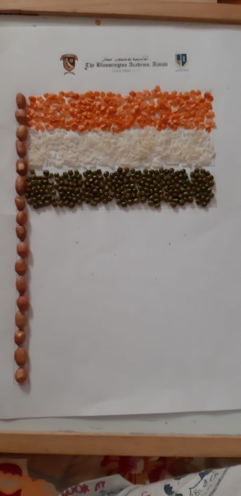 World pulses day.
Indian flag 
Multiple pulses used Fall Classroom Decorations, Fall Classroom, Indian Flag, Class Decoration, Baby Sensory, Flag Decor, School Art, Tri Color, Art School