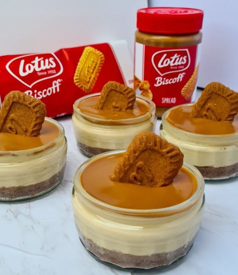 Biscoff Mini Cakes, Small Cheesecake, Biscoff Mini Desserts, Mini Biscoff Cheesecake, Mini Biscoff Cheesecake Recipes, Biscoff Cheesecake Recipes, Biscoff Cheesecake Mini, Biscoff No Bake Cheesecake Cups, Biscoff Mini Cheesecake