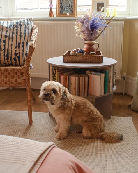 the brightest corner of the room aka the best place to put something colourful to catch those rays 😎 a little self-made bookshelf coffee table moment featuring podge 🥹 #interiordesign #interiordecor #interiorstyling #homedecor #bedroom #londoninteriors #furnituredesign #coffeetable Books On Coffee Table, Coffee Table Bookshelf, Table Bookshelf, Self Made, Coffee Table Books, Bookshelves, Interior Styling, The Good Place, Furniture Design