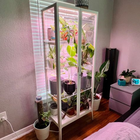 The Ultimate Ikea Milsbo Greenhouse Cabinet Ikea Glass Plant Cabinet, Ikea Greenhouse Cabinet Diy, Ikea Grow Cabinet, Diy Greenhouse Cabinet, Ikea Milsbo Greenhouse, Ikea Plant Cabinet, Milsbo Greenhouse, Ikea Indoor Garden, Milsbo Cabinet