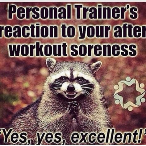 Sore Workout, Personal Trainer Humor, Personal Trainer Quotes, Trainer Quotes, Workout Soreness, Gym Humour, Crossfit Coach, Fitness Memes, Personal Fitness Trainer