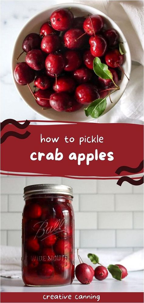 Learn how to pickle crab apples with this easy recipe that combines sugar, vinegar, and warm spices like cinnamon and allspice. These pickled crab apples are a wonderful side dish or dessert topping, retaining their tartness and firm texture even after canning. Find more crab apple recipes, preserving crab apples, crab apple canning recipes, and Canning Apples & Apple Canning Recipes at creativecanning.com. Apples Canning, Apple Canning Recipes, Apple Canning, Canning Fruit Recipes, Crab Apple Recipes, Canning Apple Pie Filling, Water Bath Canning Recipes, Canning Apples, Canning Jam Recipes