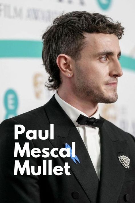 Men's Mullet Hairstyle Inspo | Paul Mescal Inspired Mullets | Cool Vintage Hairstyles Mullets Straight Hair, Trendy Mullet Men, Mullets For Men, Men's Mullet, Trendy Mullet, Mullet Styles, Soft Mullet, Mullet Men, Modern Mullet Haircut