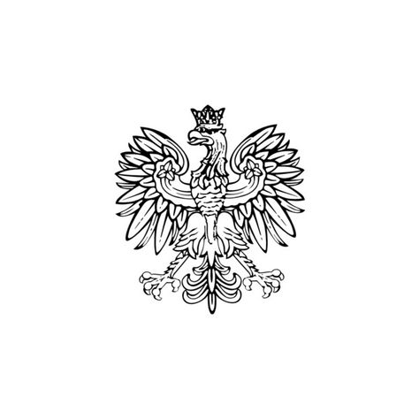 Polish Eagle clip art ❤ liked on Polyvore Poland Drawing, Polish Eagle Tattoo, Poland Tattoo, Slavic Tattoo, Falcon Tattoo, Polish Tattoos, Bird Outline, Falcon Crest, Polish Eagle