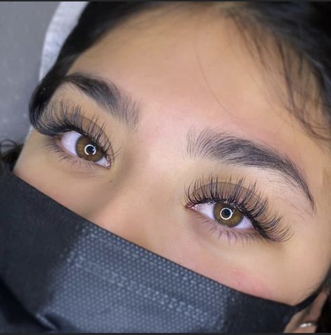 Classic Lashes Doll Eye, Long Classic Lashes, Doll Eye Classic Lash Extensions, Wispy Lashes Mapping, Hybrid Doll Eye Lash Extensions, Holiday Lashes, Natural Long Eyelashes, Eye Lash Extensions, Classic Lashes