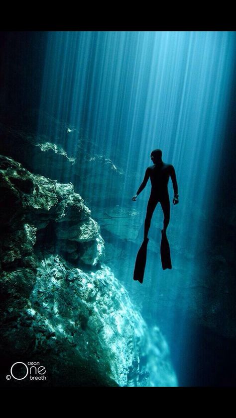 Freediving Photography, Navy Diver, Skin Diving, Underwater Caves, Fauna Marina, Sea Diving, Deep Sea Diving, Fishing Photography, Cave Diving