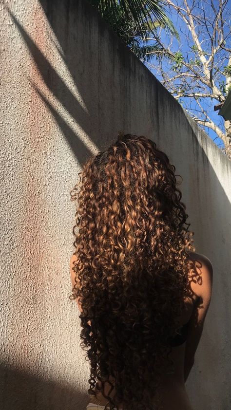 Long Curly Healthy Hair Aesthetic, Healthy Thick Curly Hair, Brown Curly Hair Aesthetic, Honey Brown Curly Hair, Hair Goals Curly, Camille Rose Curl Maker, Long Brown Curly Hair, Curl Maker, Long Hair Curls