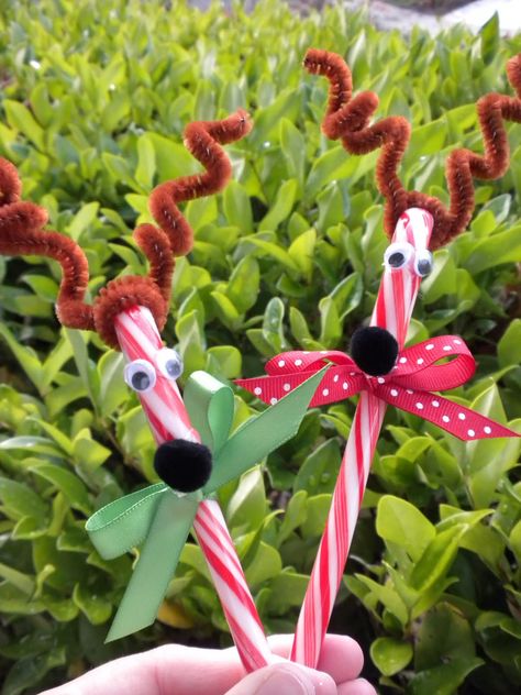 KinderJam - Music, Movement, Learning, and Fun!: Craft Jam: Candy Cane Reindeer Candy Cane Reindeer, Christmas Candy Cane Decorations, Candy Cane Crafts, Candy Cane Ornament, Candy Crafts, Christmas Goodies, Christmas Candy Cane, Christmas Activities, Diy Christmas Gifts