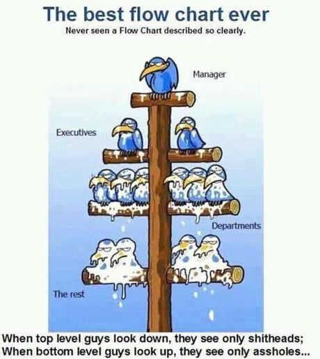 Hierarchy! Funny Cartoon Photos, Trickle Down Economics, Marines Funny, Video Gospel, Military Humor, Nurse Humor, Funny Cartoon, Funny Cartoons, Photo Illustration