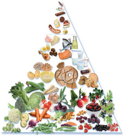 Nordic Food Pyramid Viking Diet, Scandinavian Diet, Paleo Food Pyramid, Nordic Diet, Viking Food, Nordic Recipe, Flexitarian Diet, Nutrition Chart, Simple Nutrition