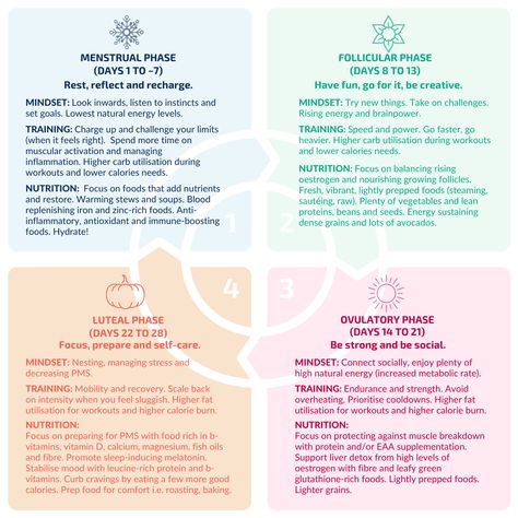 Nutrition Menstrual Cycle, Cycle Syncing Timeline, Menstrual Cycle Fasting, Four Stages Of Menstrual Cycle, 23 Day Menstrual Cycle, 25 Day Menstrual Cycle, 4 Stages Of Menstrual Cycle, 4 Menstrual Phases, Training With Your Cycle