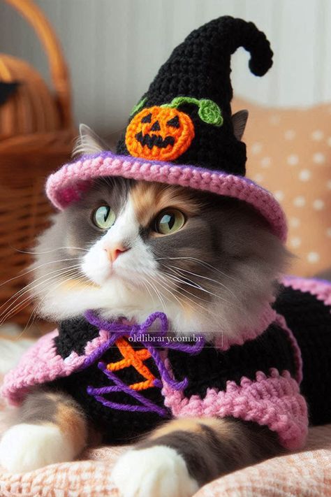 Crochet an adorable witch costume for your cat this Halloween with this easy-to-follow pattern. Perfect for spooky fun! Witch Hat For Cat Crochet, Witch Hat Cat Crochet, Crochet Witch Hat For Cat, Crochet Cat Tail For Costume, Witches Hat Crochet Pattern, Crochet Dog Costumes Halloween, Crochet Cat Costume Free Pattern, Cat Costume Crochet, Crochet Cat Halloween Costume