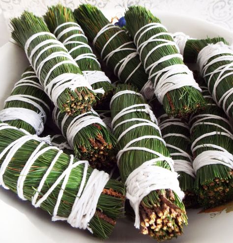 Smudge Sticks Diy, Holiday Craft Ideas, Fire Starters Diy, Yule Crafts, Pine Needle Crafts, Couple Holiday, White Pine Tree, Nature Projects, Pine Needle Baskets