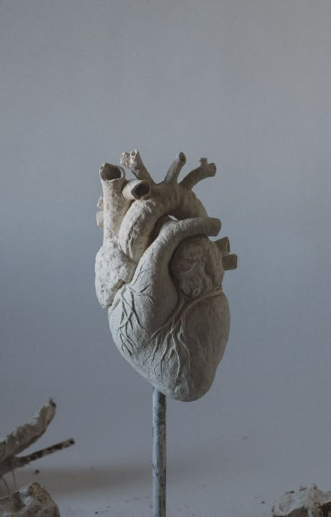 Anatomical Heart Art, Bethel Church, Bethel Music, Anatomy Sculpture, First Live, Sculpture Art Clay, Air Dry Clay Projects, Clay Diy Projects, Keramik Design