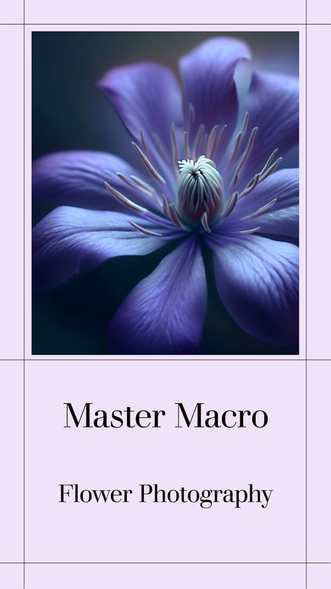 Useful help and advice on improving your macro flower photography Creative Macro Photography, Macro Lens Photography, Macro Flower Photography, Flower Photography Art, Flower Reference, Macro Photography Nature, Macro Pictures, Macro Photography Flowers, Sony A6300