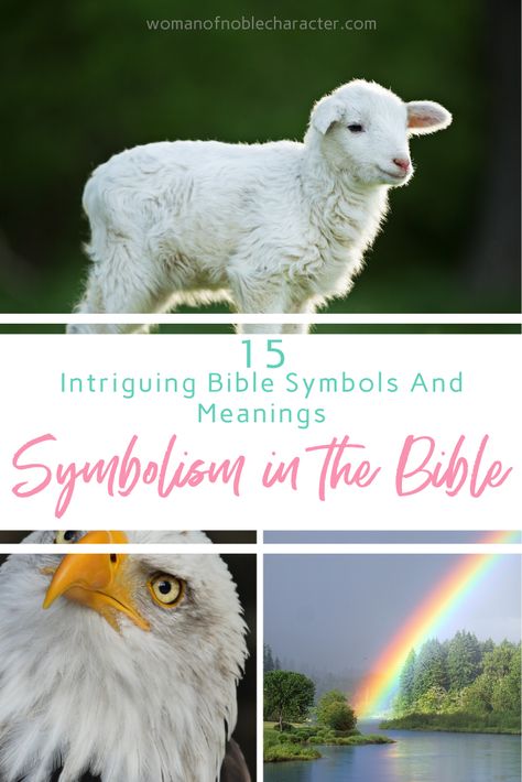 Symbolism in the Bible and why we find it in God's Word, plus a round up of 15 posts about Bible symbols and meanings.  #Biblesymbolism #symbolismintheBible #rainbows #birds #color #significanceintheBible #scripture #faith #whattheBiblesaysabout #womanofnoblecharacter Bible Symbolism, Bible Symbols, Quit Quotes, Colors In The Bible, Biblical Timeline, Biblical Symbols, Jesus Pics, Bible Meaning, Bible Drawings