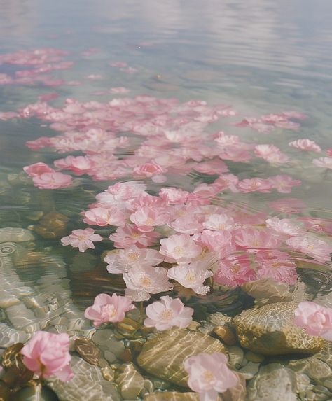 Pink Underwater Aesthetic, Pink Underwater, Underwater Aesthetic, Soothing Aesthetic, Mental Break, Pink Lake, California Summer, New Media Art, Calm Water