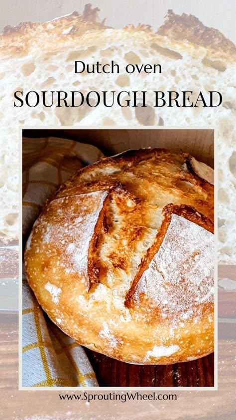 Easy Dutch oven sourdough bread for beginners - Sprouting Wheel Whey Sourdough Bread, How To Make Whey, Beginner Sourdough, Homemade Sourdough Bread Recipes, Artisan Sourdough Bread Recipe, Easy Sourdough Bread, Sourdough Crackers, Beginners Bread Recipe, Easy Sourdough Bread Recipe