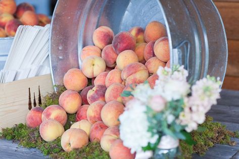 A Peach-Inspired Farm Wedding at the Walters Barn in Lula, Georgia Peach Party Decorations, Peach Bridal Showers, Moss Centerpieces, Peach Festival, Peach Baby Shower, Peach Party, Orange Party, Cottage Wedding, 1st Birthday Party Themes