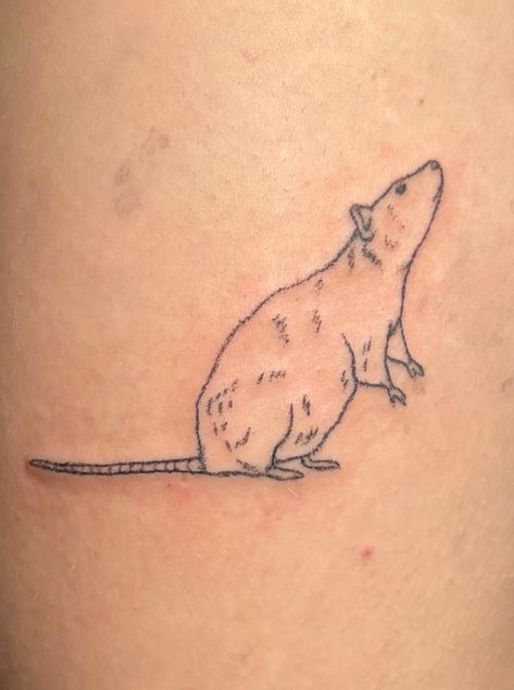 Tiny Rat Tattoo, Rat Tattoo Minimalist, Pet Rat Tattoo, Rodent Tattoo, Little Mouse Tattoo, Rat Tattoo Simple, Small Rat Tattoo, Rat Tattoo Design Simple, Cat And Rat Tattoo