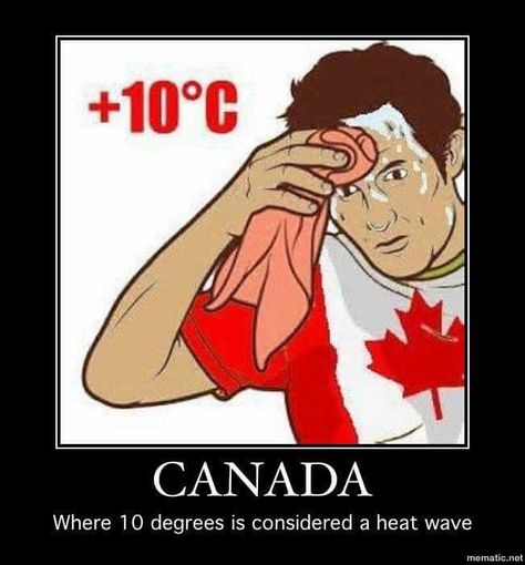 Heat wave Canada Jokes, Canada Vs Usa, Canadian Humor, Meanwhile In Canada, Hetalia Canada, Canadian Things, I Am Canadian, Canada Eh, Canadian Girls