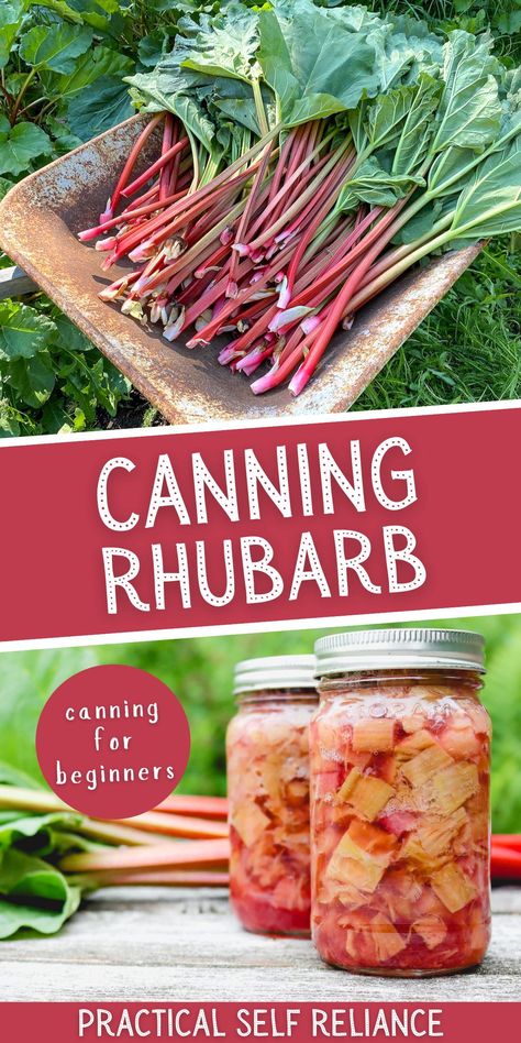 Rhubarb Canning Recipes, Canning Rhubarb, Rhubarb Water, Fruit In Jars, Rhubarb Pies, Canning Fruit Recipes, Rhubarb Desserts Recipes, Storing Food Long Term, Salsa Canning Recipes