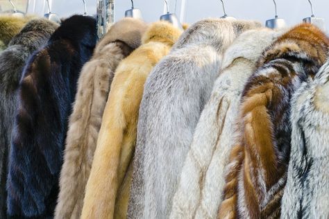 So, you've acquired an old mink coat, vintage--but not in the good way. Maybe it's partially damaged or hopelessly outdated, but it still has promise. Even with only small areas worth salvaging, there are a plenty of ways you can re-purpose fur. Mink Stole, Real Fur Coat, Fur Coat Vintage, Natalia Vodianova, Animal Fur, Mink Coat, Vintage Fur, Fur Coats, East Africa