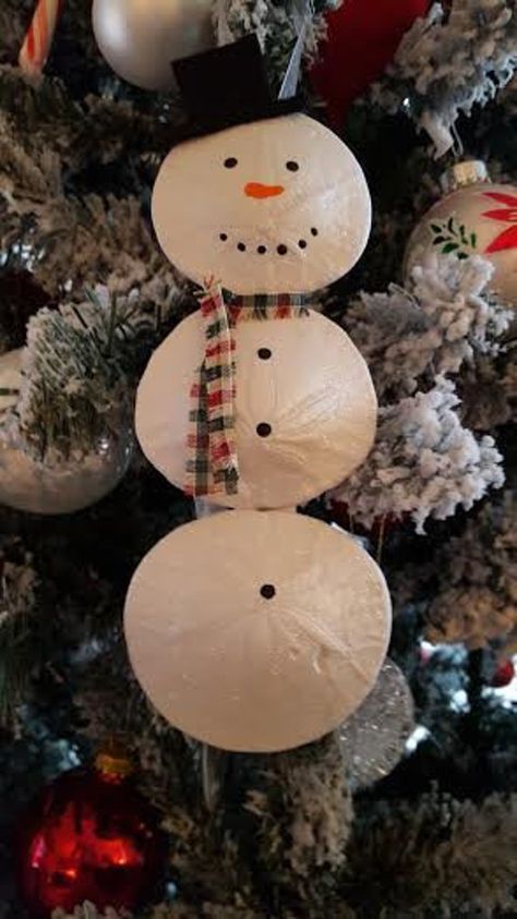 Sandollar Crafts, Zoo Room, Christmas Shells, Sand Snowman, Painted Sand Dollars, Sand Dollar Craft, Sand Dollar Art, Shell Projects, Sand Dollar Ornament