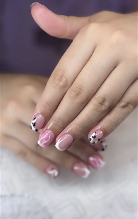 Black, White, and Pink Cow Print French Tips 💅🏼🐮💗 ••• #cowprint #frenchtip #blackandwhitenails #nailart Cow Print Nails Short, Cow Print French Tips, Cow Pattern Nails, Pink Cow Print Nails, Pink French Tips, Cow Print Nails, Pink Cow Print, Pink Checkered, Summery Nails